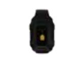 Wristband Tag Icon